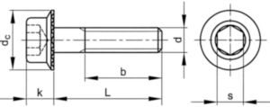 Self-locking hexagon socket head cap screw with flange Steel Plain 100